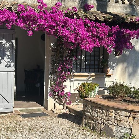 Les Palmiers Apartamento Fréjus Exterior foto