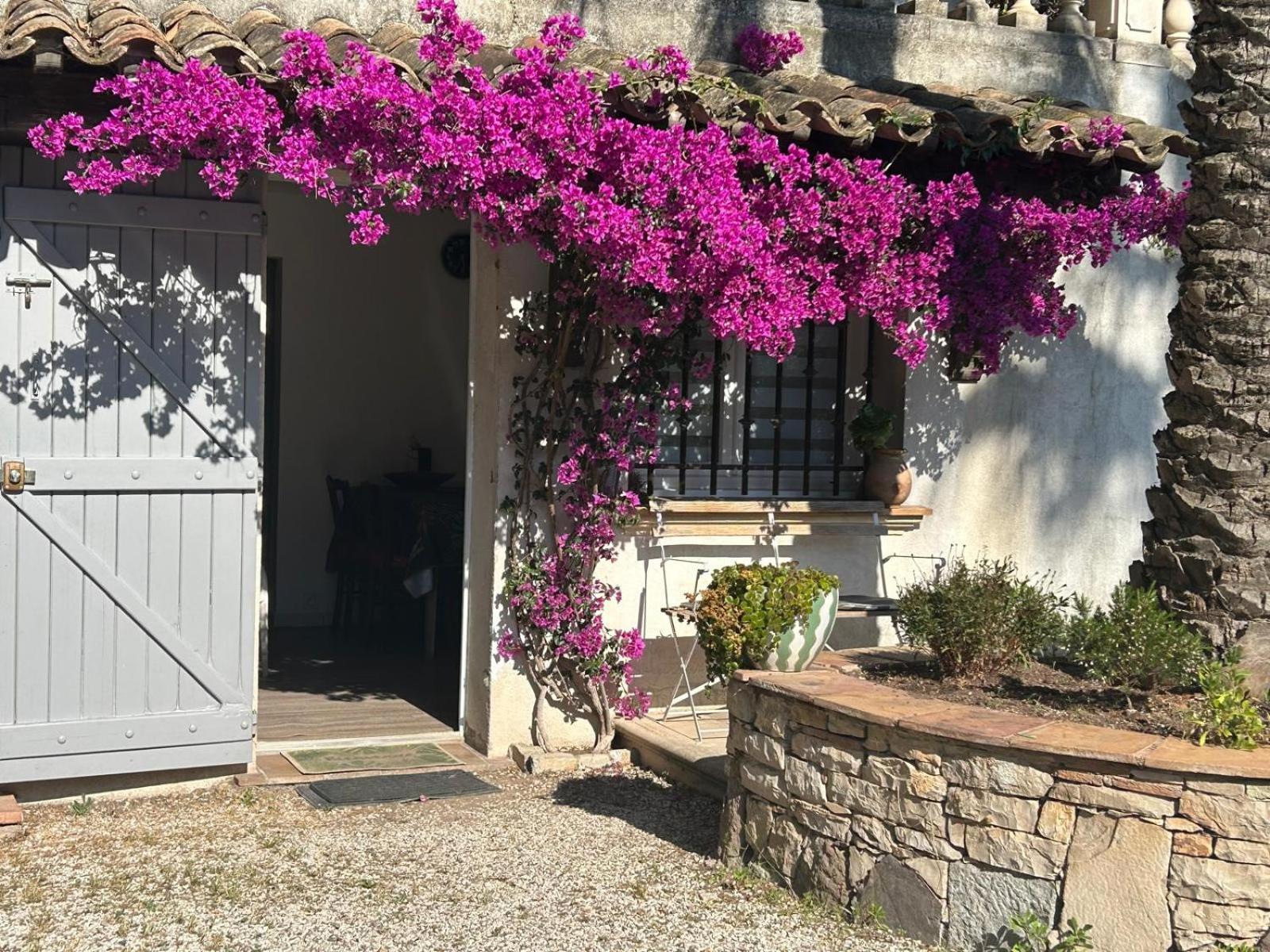 Les Palmiers Apartamento Fréjus Exterior foto